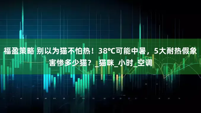 福盈策略 别以为猫不怕热！38℃可能中暑，5大耐热假象害惨多少猫？_猫咪_小时_空调